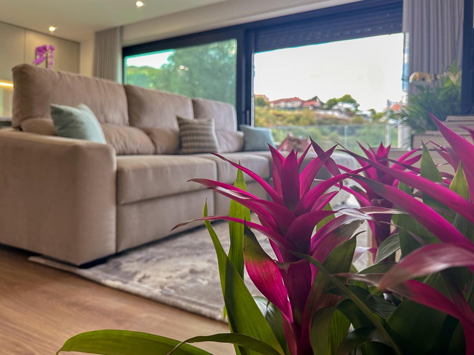 Flora Guest House Marco de Canaveses Luaran gambar