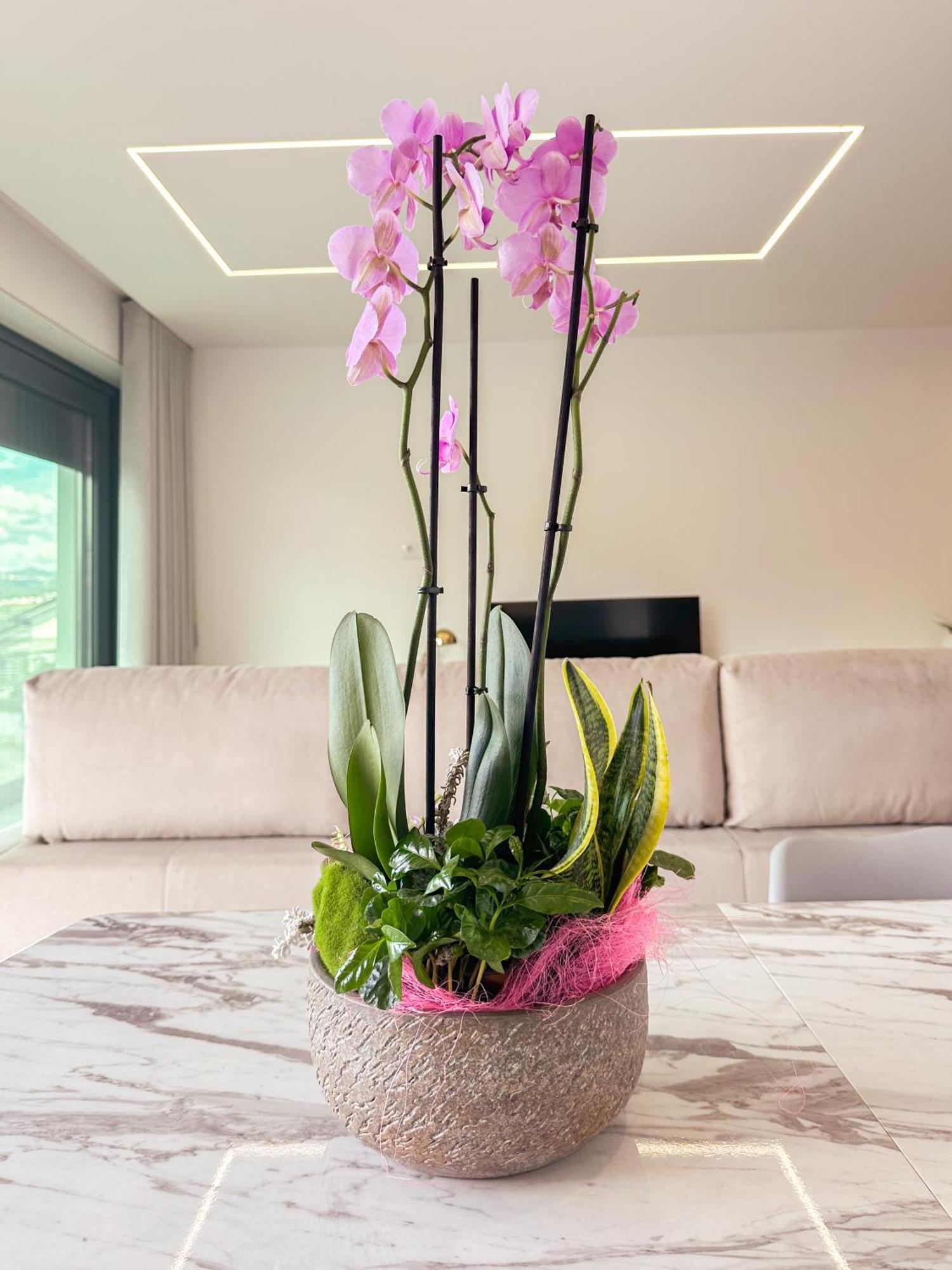 Flora Guest House Marco de Canaveses Luaran gambar